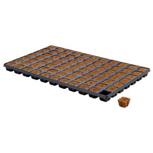 Eazy Plug potting cube 77 tray