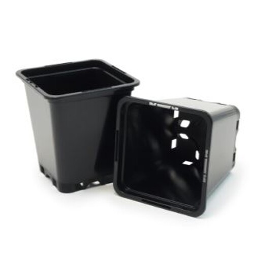 Square Pot Black 9x9x10 cm 0,5 liter