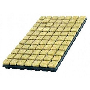 Grodan rock wool planting cube with tray 4x4 cm 77 pcs