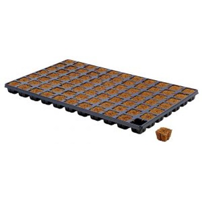 Eazy Plug potting cube 77 tray