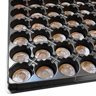 Jiffy Tray 62