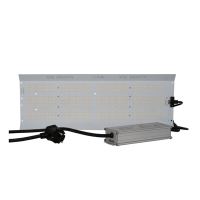 HortiOne LED Panel 368 V3