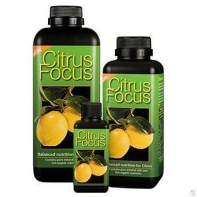 Growth Technology Citrus Focus  1l